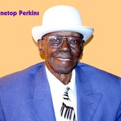 Pinetop Perkins & Friends - List pictures