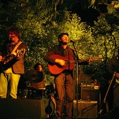 Vetiver - List pictures