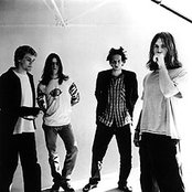 Reef - List pictures