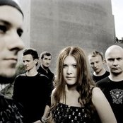 Delight - List pictures