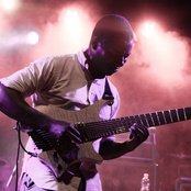 Animals As Leaders - List pictures