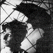 Foetus - List pictures