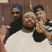 Wc And The Maad Circle - List pictures