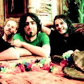 Karnivool - List pictures