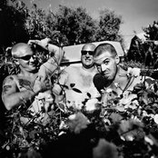 Sublime - List pictures