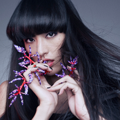 Shishido Kavka - List pictures