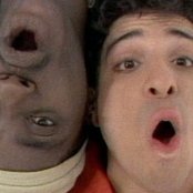 Sly Fox - List pictures