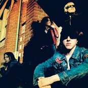 Tehosekoitin - List pictures