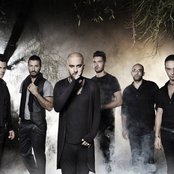 Negramaro - List pictures