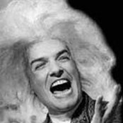 Falko - List pictures