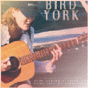 Bird York - List pictures