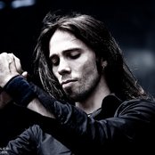 Old Dead Tree - List pictures