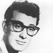 Holly Buddy - List pictures