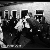 Revenge - List pictures