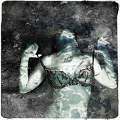 Lindsay D'arcy - List pictures