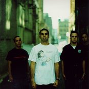 Dogwood - List pictures