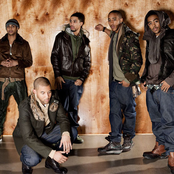 Brutha - List pictures