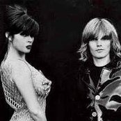 The Divinyls - List pictures