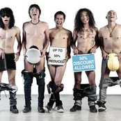 Slank - List pictures