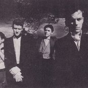 And Also The Trees - List pictures