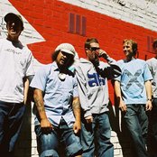 Shapeshifter - List pictures