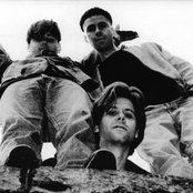 Pond - List pictures