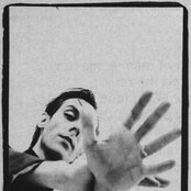 Peter Murphy - List pictures