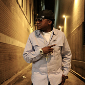 Harvey Stripes - List pictures