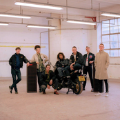 Jungle - List pictures