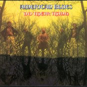 American Blues - List pictures