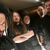 Carnal Forge - List pictures