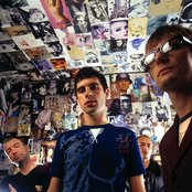 The Servant - List pictures