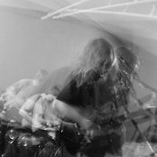 Seacats - List pictures