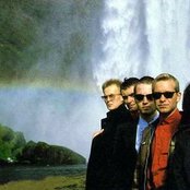 Sugarcubes - List pictures