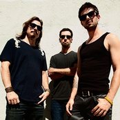 Tribe - List pictures