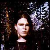 Vintersorg - List pictures