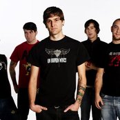 Calico System - List pictures