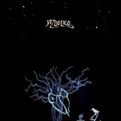 Yodelice - List pictures