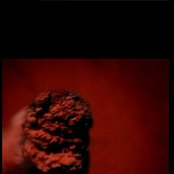 Pony Bravo - List pictures