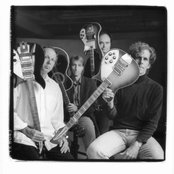 The Bears - List pictures