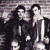 Flipper - List pictures