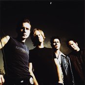 Oleander - List pictures