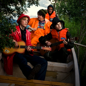 Kråkesølv - List pictures