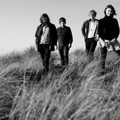 Sleepy Sun - List pictures