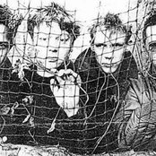 The Sound - List pictures