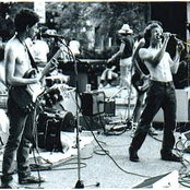 The Panics - List pictures