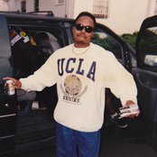 Domino - List pictures