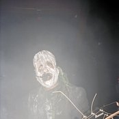 Bile - List pictures