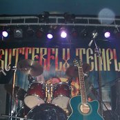 Butterfly Temple - List pictures