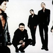 The London Suede - List pictures